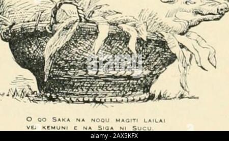 Islands far away; Fijian pictures with pen and brush . extractsfrom Ratu Sukunas letters ; it is from a letter written by oneof his fellow legionaries, I believe the American referred toabove :— As the stars were paling before the oncoming dawnand the wild ducks ceased their domestic squabbles in theneighbouring marshes, my companion sentinel, a Fijian Chiefwho is also an Oxford undergraduate, rolled his eyes poeticallytowards the German trenches : It is really time that secondtuck box arrived, he said simply. Unpoetic, but delightfulthought. There would be biscuits, peppermints, jam, Englisht Stock Photo