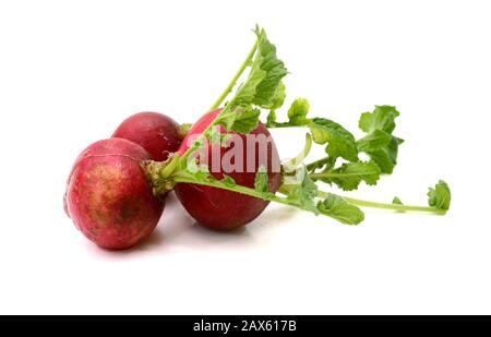 Small garden radish isolated on white background Stock Photo