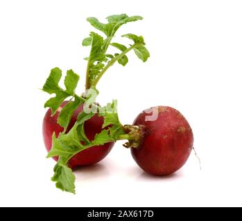 Small garden radish isolated on white background Stock Photo