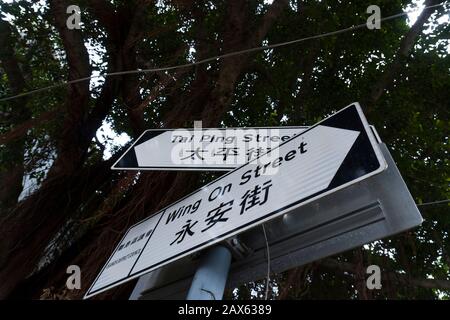 Hong Kong - January 1 2020 : Street Name Signs 'Tai Ping Street' and 'Wing On Street' under the tree at Tai O, Close Up, Dutch Angle View Stock Photo