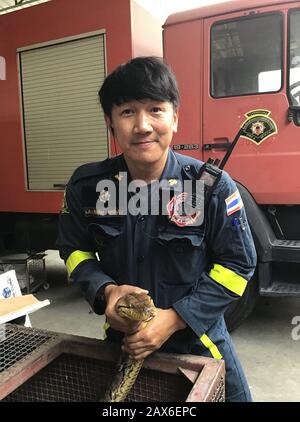 Bangkok, Thailand. 03rd Feb, 2020. Pinyo Pukpinyo, snake hunter at the fire department. On his watch he shows a python. In the Thai capital, the fire brigade is called more often for snakes than for extinguishing fires. (to dpa 'The Snake Hunter of Bangkok') Credit: Caroline Bock/dpa/Alamy Live News Stock Photo