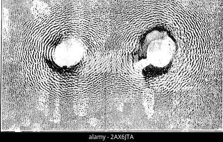 Fields of force; supplementary lectures, applications to meteorology; . te inevery case. The particles, therefore, will chain together normallyto the lines of flow in the fluid ; they will arrange themselves aslayers which follow the equipotential surfaces, and which, as a con-sequence of mutual repulsion, are separated from each other byempty spaces. It is indifi^erent whether for the experiment we INVESTIGATION OF DYNAMICAL PKOPERTIES. 49 take a light powder, which would correspond to the iron filings, ora heavy powder, which would correspond to the bismuth filings. For practical reasons, it Stock Photo