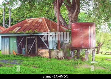 Sun rays falling on an old shed and water tank in an outdoor backyard after rainfall when the grass and foliage are lush and green Stock Photo