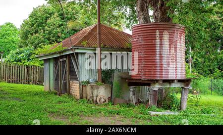 Old shed and water tank in an outdoor backyard after rainfall when the grass and foliage are lush and green Stock Photo