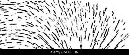 Fields of force; supplementary lectures, applications to meteorology; . i®5=^^;^- i^ Stock Photo