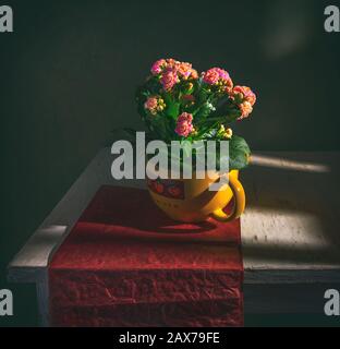 A Bouquet Of Yellow Kalanchoe In A Flower Pot Stock Photo - Alamy