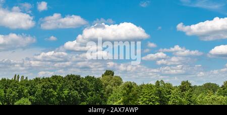 Blue sky with white clouds over green deciduous trees in Belgium. Stock Photo