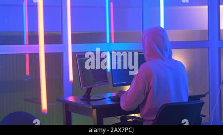 Back view of Hacker in white hoodie penetrating network system in neon room. There is different equipment around his table. Hacker Organizes Malware Attack on Global Scale. Stock Photo