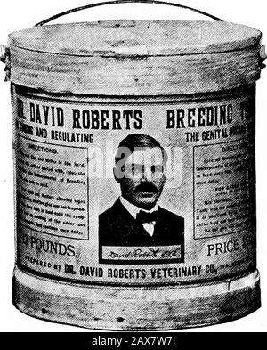 DrDavid Roberts' practical home veterinarian . ns of Antiseptic Solution. For Washing the Genital Organs of Cattle. Destroying Germs, thus Preventing Infection. Indispensable to the Cattle Owner Who Guards the Health of His ,Animals. All cows and heifers having an unnatural or catarrhal discharge from the vaginashould have their genital organs washed out with the antiseptic solution until all dis-charge ceases. The sheath of the herd bull should be washed out after each service; this willprevent him from becoming infected, and in case he is infected will prevent him frominfecting cows and heif Stock Photo