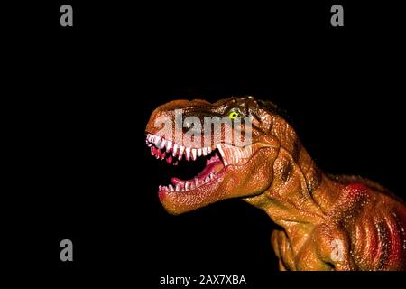 Red tyrannosaurus close up on a black background, non-existent animal Stock Photo
