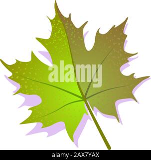 Green maple leaf icon, textured flat design shadow. Single nature, ecology canadian symbol. Vector illustration isolated on white background. Stock Vector