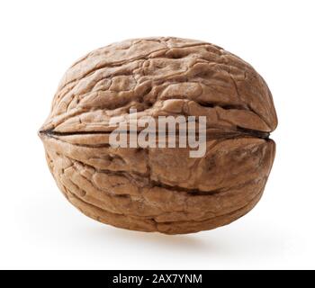 Wulnut isolated on white background with clipping path Stock Photo