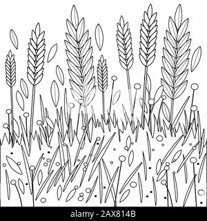 Wheat or barley growing on a field. Black and white coloring page Stock Photo