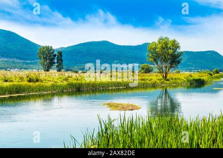 Croatia, beautiful greennature, Gacka river in Lika region, field summer view Stock Photo