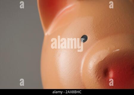 Piggy bank close up shot on grey background. Lot of copy space. Stock Photo
