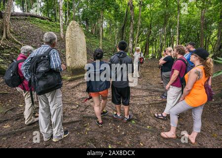 Visitors at stela in rainforest at Caracol, Mayan ruins, Chiquibul Plateau, Cayo District, Belize Stock Photo