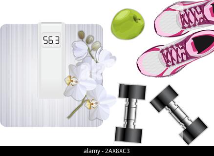 Fitness equipment. Apple, dumbbells and sport shoes, sport concept vector illustration Stock Vector