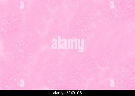 Pale pink gradient abstract background. Pastel. Dandelion pattern Stock Photo