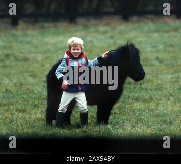 Peter Phillips plays with his pony at Sandringham House stables, Norfolk, England January 1983