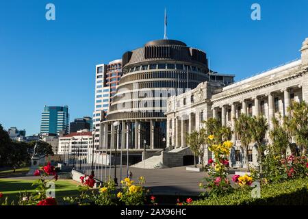Beehive Parliament building, Wellington, New Zealand, flowers