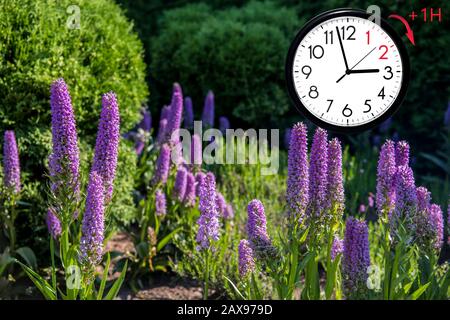 Daylight Saving Time (DST). Blue sky with white clouds and clock. Turn time forward (+1h). Stock Photo
