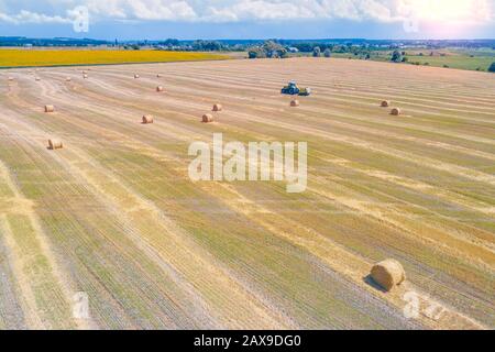 Harvesting wheat. Mowed wheat field. Baling straw Stock Photo