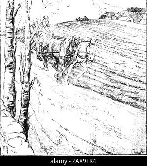 Cape Cod, new & old . Chapter IX EASTHAM AND THE AGRICULTURALFUTURE OF THE CAPE IT was once the granary of the Cape — thisbarren, windswept region, with the dyingsunUght slanting across its roUing fields. Long,low marshes, level and softly tinted, like deli-cate pastels, contribute now to the sad andlovely scene — quite different in its wistfulcharm from the other towns about it. Its soli-tary roads, leading off from the state highwayto remote houses, are wanly mysterious. Itsdesolation is not unattractive. But its beauty— for it has an unmistakable beauty of anunearthly quality — is such as t Stock Photo