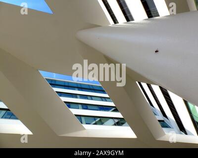 Abstract View Of Black Fly Closeup On Shiny Grey Curved Surface