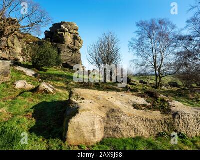 Gritstone rocks at Brimham Beacon on the southern edge of Brimham Moor Nidderdale AONB North Yorkshire England Stock Photo