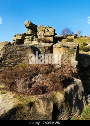 Gritstone rocks at Brimham Beacon on the southern edge of Brimham Moor Nidderdale AONB North Yorkshire England Stock Photo