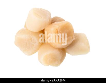 Scallops isolated on white background. Raw fresh scallops adductor. Fresh seafood. Stock Photo