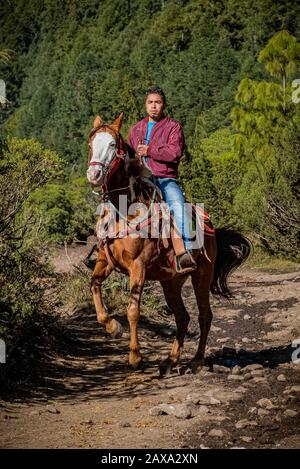 A young Mexican man riding a beautiful brown horse on a forest trail in Mexico Stock Photo