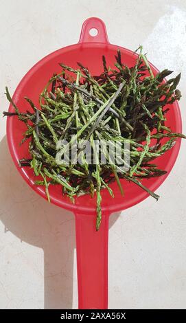 Wiild asparagus in a red colander on a stone background top view Stock Photo