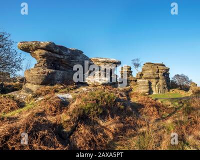 Gristone rocks lit by the setting sun on a winter afternoon at Brimham Rocks Brimham Moor Nidderdale AONB North Yorkshire England Stock Photo