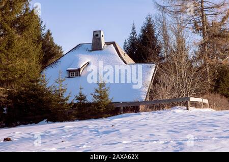 Sloping roof covered with snow. Traditional wooden mountain rustic house, with surrounding coniferous trees in winter day. Black Forest, Germany. Stock Photo