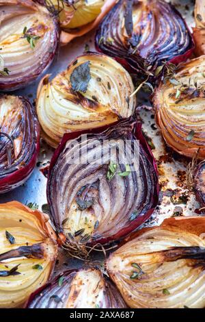 Allium cepa.  Roasted Onions on a baking tray Stock Photo