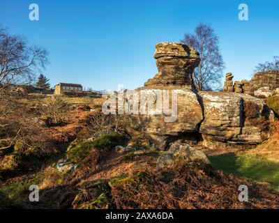 Gristone rocks lit by the setting sun on a winter afternoon at Brimham Rocks Brimham Moor Nidderdale AONB North Yorkshire England Stock Photo