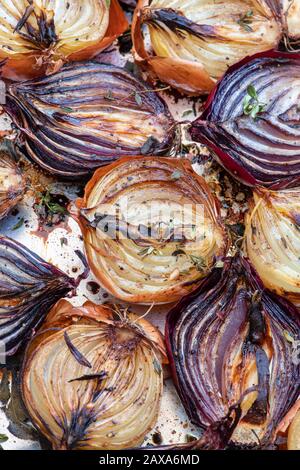 Allium cepa.  Roasted Onions on a baking tray Stock Photo