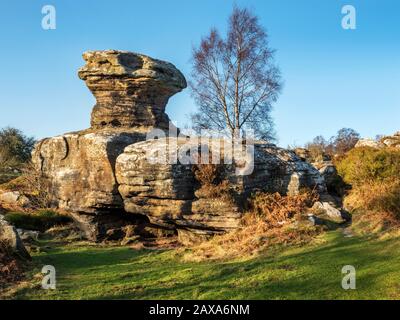 Gristone rocks lit by the setting sun on a winter afternoon at Brimham Rocks Brimham Moor Nidderdale AONB North Yorkshire England Stock Photo