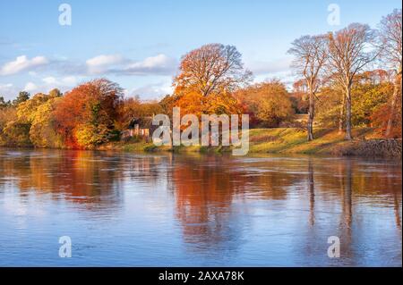 View from Tyne Green of Autumn colour on trees round an old cottage on the banks of the River Tyne near Hexham in Northumberland North East England Stock Photo