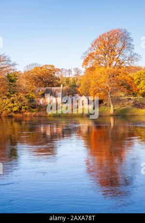 View from Tyne Green of Autumn colour on trees round an old cottage on the banks of the River Tyne near Hexham in Northumberland North East England Stock Photo