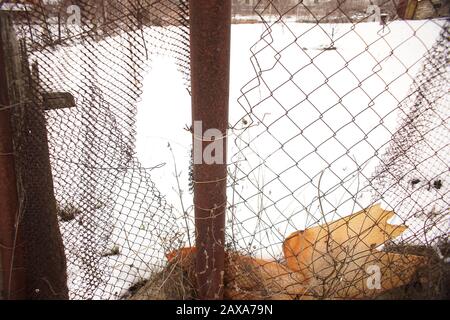 Old wire mesh fence with hole in winter rural garden Stock Photo
