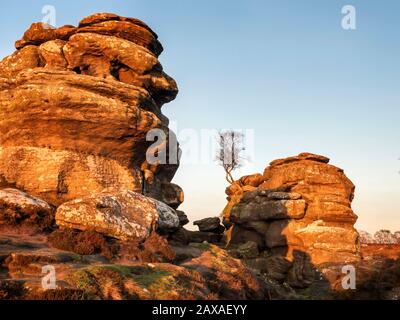 Gritstone rock formations lit by the setting sun at Brimham Rocks Brimham Moor Nidderdale AONB North Yorkshire England Stock Photo