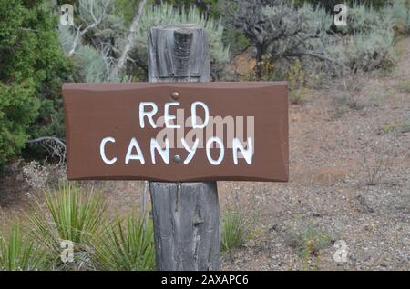 FRUITA, COLORADO - JUNE 23, 2016: Red Canyon Overlook Sign Along Rim Rock Drive in Colorado National Monument Stock Photo