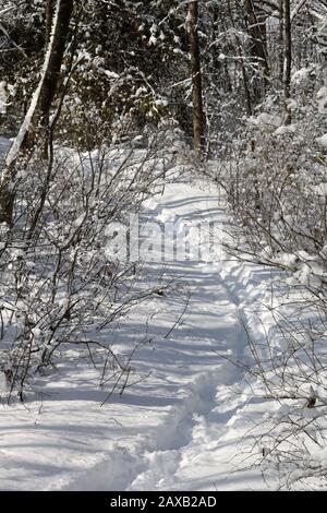 Heally Falls in winter Stock Photo