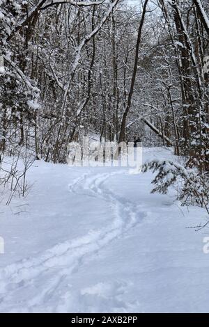 Heally Falls in winter Stock Photo