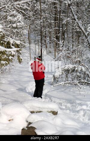 Heally Falls in winter Stock Photo