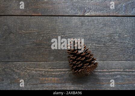 Wooden textured planks with a fir cone as background with copy space Stock Photo
