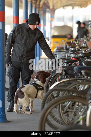 A police officer and his sniffer dog search King's Lynn railway station in Norfolk, ahead of the arrival of Queen Elizabeth II, as she returns by train to London after spending the Christmas period at Sandringham House in north Norfolk. PA Photo. Picture date: Tuesday February 11, 2020. Photo credit should read: Nick Ansell/PA Wire Stock Photo