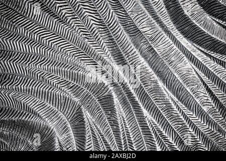 Transparent, patterned, abstract and old weathered glass flat high quality texture Stock Photo